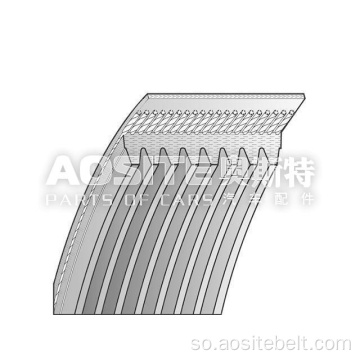 V-Ribbed Suunka MAN LION S CITY